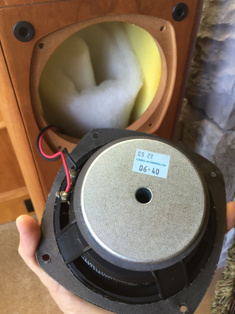 Left woofer's wiring.