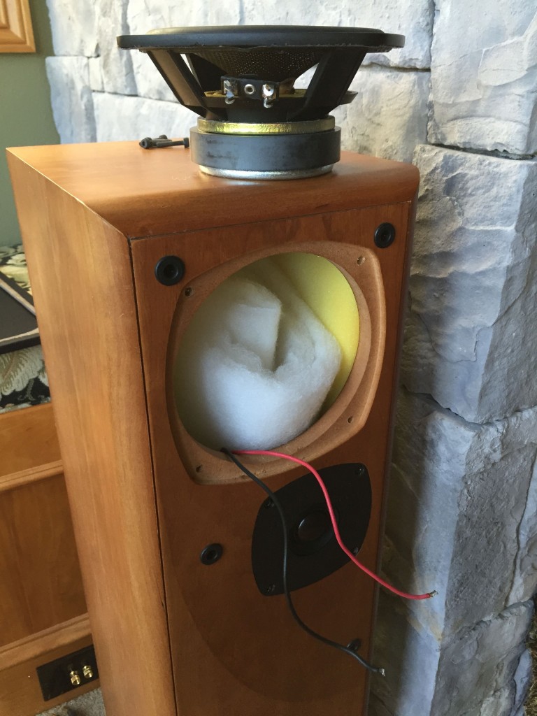Woofer removed from the cabinet.