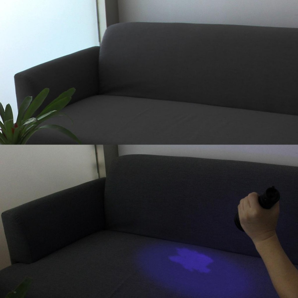 A UV flashlight easily reveals hidden stains that smell