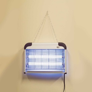 Comes with a chain to hang on the wall, but works just as well on a counter.