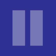 2nd Amendment Icon